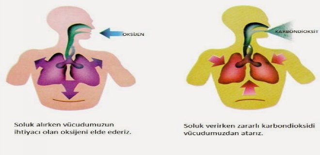 Solunum Yolu Hastal Klar E Itleri Ve Tedavi Y Ntemleri