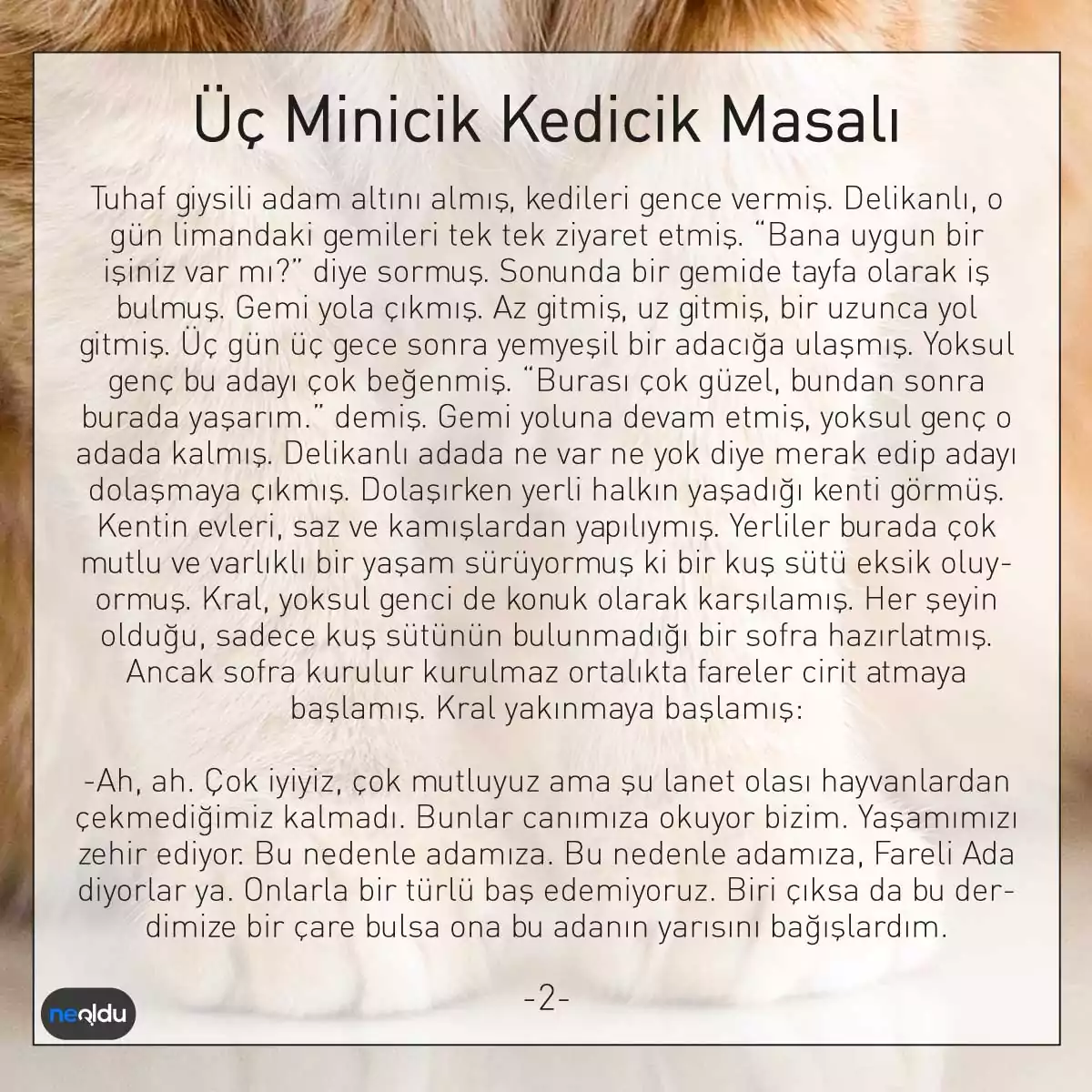 Üç Minicik Kedicik Masalı