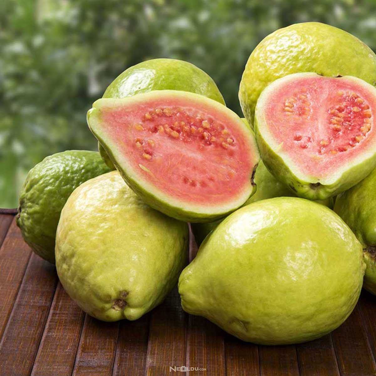 guava-002.jpg