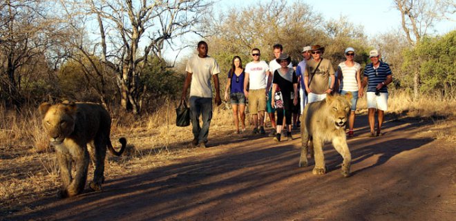 lion-park.jpg